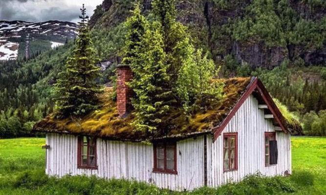 Koselig Hytte i Hemsedal